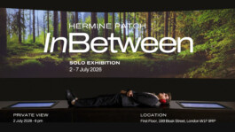 HERMINE PATCH